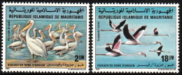 1981 Mauritania Birds Of Banc D’Arguin National Park: Pink-backed Pelican, Greater Flamingo Set (** / MNH / UMM) - Flamingos