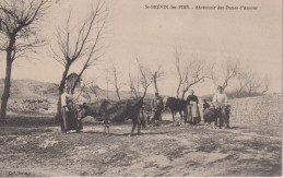 St-Brévin-Les-Pins. - Abreuvoir Des Dunes D'Amour - Saint-Brevin-les-Pins