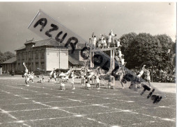 HOUILLES . MAI 1952 . FETE DE GYMNASTIQUE - Sports