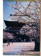 The Kenchoji And Cherry Trees Le Temple Kamakura Japan Tokyo ? Cerisier - Tokyo