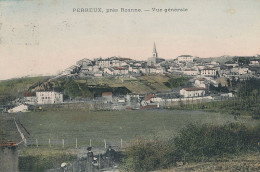 42 // PERREUX Près Roanne - Vue Générale - Autres & Non Classés