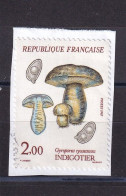 FRANCE OBLITERES : 1987 Sur Fragment Y/T N° 2488 - Used Stamps