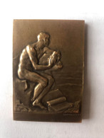 Médaille - Raoul Lamourdedieu (1877-1953) - Société De Comptabilité De France - 38x56 Mm - 56 Gr Bronze - Other & Unclassified