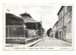 CPA  32 MIELAN (Gers)  Avenue Douat  Halle à La Volaille  écrite  ( 1869) - Autres & Non Classés