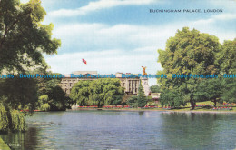 R630269 London. Buckingham Palace. Valentine. Valesque - Other & Unclassified