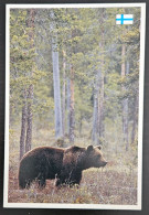 Bear, Finland - Bären