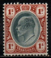 TRANSVAAL 1904-9 ** - Transvaal (1870-1909)