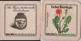 5005429 Bierdeckel Quadratisch - Licher - Beer Mats