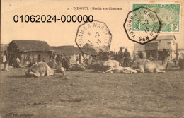 DJIBOUTI. Cpa  - Marché Aux Chameaux     (scans Recto-verso) - Gibuti