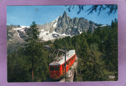 74 CHAMONIX MONT BLANC Le Chemin De Fer Du Montenvers Et L'Aiguille Du Dru - Train - Chamonix-Mont-Blanc
