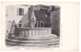 VITERBO 22 FONTANA DI PIANO SCARANO - Viterbo