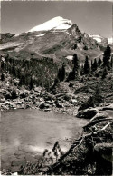 Der Arvensee Am Gemmiweg Bei Kandersteg, Altels (30342) * 3. 8. 1962 - Kandersteg