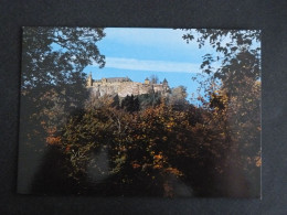 MONT SAINT ODILE - BAS RHIN - A TRAVERS LES ARBRES - Sainte Odile