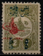 TURQUIE 1919 * SURCH. DOUBLE - Unused Stamps