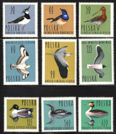 1964 Poland Water Birds Set (** / MNH / UMM) - Autres & Non Classés