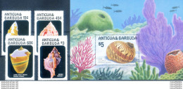 Conchiglie 1986. - Antigua And Barbuda (1981-...)