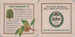 5005267 Bierdeckel Quadratisch - Licher - Beer Mats