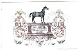 Belgique "Carte Porcelaine" Porseleinkaart, CHs Minne, Med Vétérinaire , Gand, Gent, Dim:91x58mm - Cartes Porcelaine