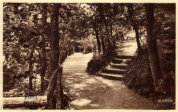 France > [63] Puy-de-Dôme > Châtel-Guyon - Dans Le Parc - 8811 - Châtel-Guyon