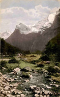 Gasterntal Mit Wildelsigen (105) * 4. 8. 1924 - Kandersteg