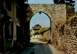 BRESSIEUX  ( ISERE )   LA PORTE NEUVE - Bressieux