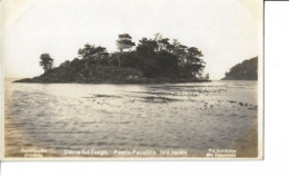 Tierra Del Fuego - Puerto Pabellón. Isla Jardin7789 - Argentine