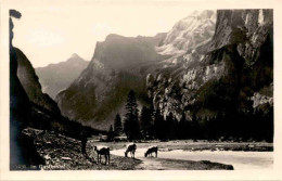 Kandersteg - Im Gasterntal (13431) - Kandersteg