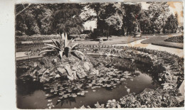 Avranches 50  Carte Timbrée Glacée  Le Jardin Des Plantes Et Le Bassin - Avranches