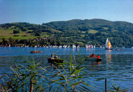 LE LAC DE PALADRU CHARAVINES  ( ISERE ) - Charavines