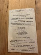 De Onbevlekte Ontvangenis  Troostvolle Gedachtenis Denise Eneman Brugge 1926 Asssebroek 1933 - Devotion Images