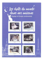 COLLECTOR -Les Chats Du Monde Dans Nos Maisons - 6 Timbres à Validité Permanente Pour La France (Lettre Verte) C 174 - Collectors