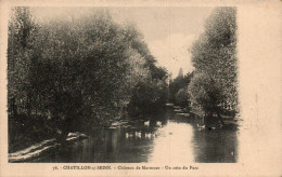 N°4275 W -cpa Chatillon Sur Seine -château De Marmont- Un Coin Du Parc- - Chatillon Sur Seine
