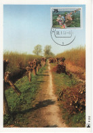 Nederland Netherlands Holland 1991 Maximum Card, Environment, Milieuserie, Omgeving, Landscape Landschap - Cartes-Maximum (CM)