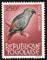 1965 Togo African Grey Parrot Stamp (** / MNH / UMM) - Parrots