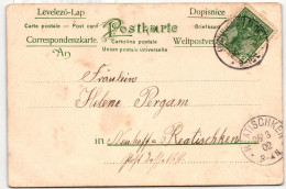 Deutsches Reich 55 Auf Postkarte Ins (Memelgebiet) #IV823 - Andere & Zonder Classificatie