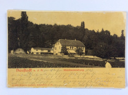 NEUSTADT - Waldmannsburg - 1903 - Neustadt (Weinstr.)