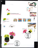 Türk. Zypern Jahrgang 2019 Gestempelt Als FDC/ Ersttagsbrief #JI992 - Used Stamps