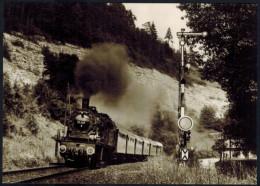 Ansichtskarte Eisenbahn Tenderlokomotive 78 246 Neckertal Aus Rtg. Horb. 1973 - Other & Unclassified