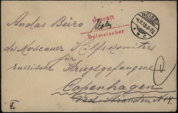 D.- Reich Kriegsgefangenenpost Neisse Nysa Offizier-Lager Dänemark Dolmetscher - Lettres & Documents