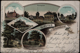 Ansichtskarte Delmenhorst Litho Post Schützenhof Langestraße Niedersachsen - Other & Unclassified