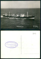 BARCOS SHIP BATEAU PAQUEBOT STEAMER [ BARCOS # 04973 ] - CARGO ? WILHELMSEN LINES  MS TAGUS - Steamers