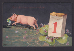 Ansichtskarte Neujahr Schwein Glücksschwein Tiere Künstlerkarte Prägekarte - Nouvel An