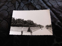 P-1028 , Photo, Ballade Dans Les Jardins Des Bosquets De Lunéville, Août 1966 - Lieux