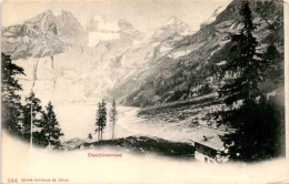 Oeschinensee (244) - Kandersteg