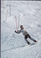 Greenland PPC Ski Team Grønland (2 Scans) - Groenland