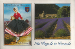 CARTE BRODEE Sous Le Ciel De Provence Au Pays De La Lavande (Editions CELY CASTELSARRASIN, Brodée/Tissu) - Bestickt