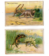 2 Chromos D' Allemagne, Urtiere, Dinosaures, Dinosaurier,  Thomson Seifenpulver - Andere & Zonder Classificatie