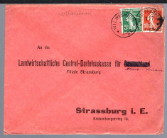 WILWISHEIM - 1919 - TIMBRE FRANÇAIS - ATTENTION CENSURE SUR L'ADRESSE DEUTSCHLAND... - Lettres & Documents