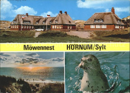 71915498 Hoernum Sylt Moewennest Panorama Seehund Hoernum - Autres & Non Classés