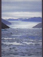 Greenland PPC Narsarsuaq Isbræ Ice-Glacier Gletcher Southern Greenland (2 Scans) - Greenland